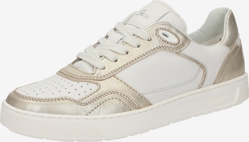 SIOUX Sneakers laag 'Maites 001' in Goud: voorkant