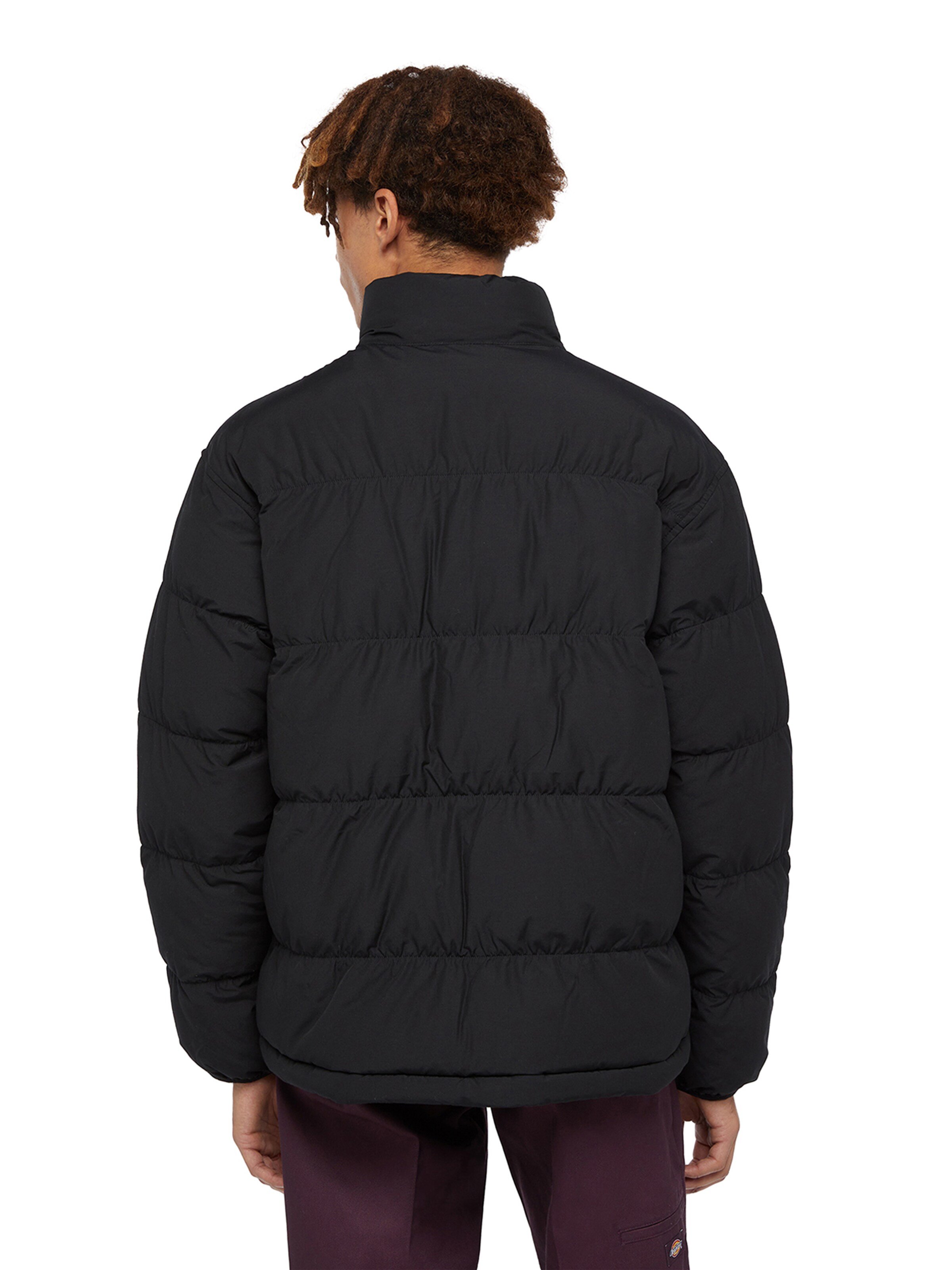 Geacă de iarnă de la DICKIES pe negru