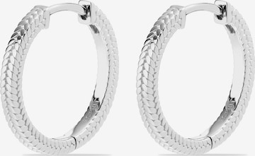 ESPRIT Ohrringe in Silber: Vorderseite