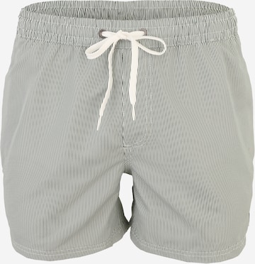 QUIKSILVER Uimashortsit 'DELUXE 1' värissä vihreä: etupuoli