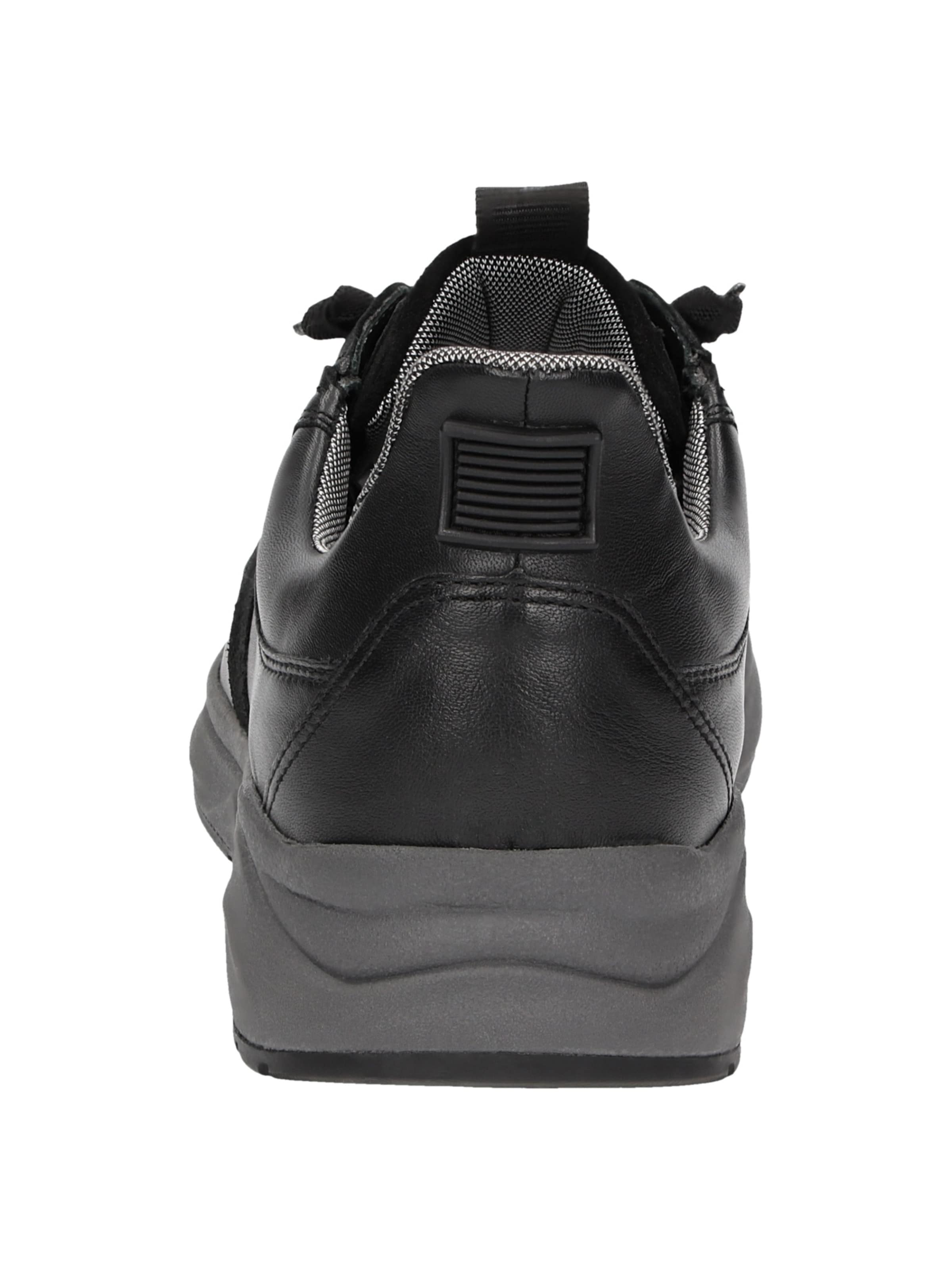 SIOUX Sneakers laag in Zwart