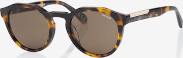 Superdry Eyewear Sonnenbrille in Braun: Vorderseite
