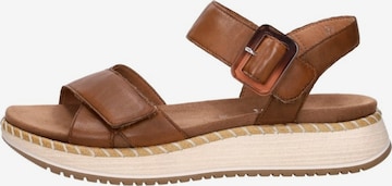 Sandales 'Sandalen Plat' REMONTE en marron : devant