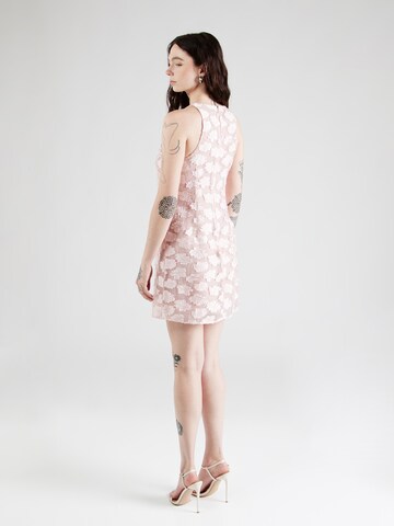 Robe & Other Stories en rose