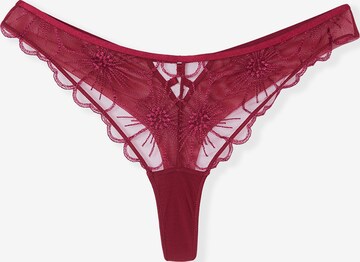 String di ETAM in rosso: frontale