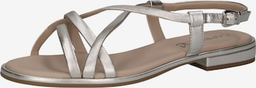 CAPRICE Riemensandale in Silber: Vorderseite