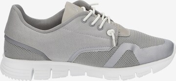 SIOUX Sneaker in Grau