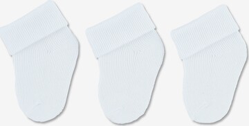 STERNTALER Socken in Weiß