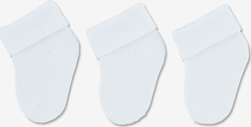 STERNTALER Socks in White