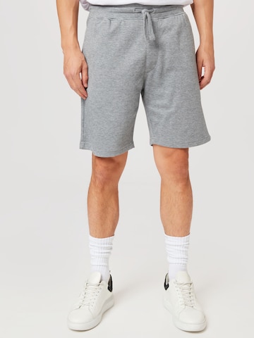 JBS OF DENMARK Regular Pants in Grey: front