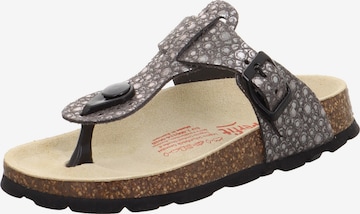 SUPERFIT Sandals in Grey: front