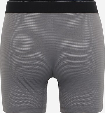 SAXX Boxer shorts 'QUEST' in Grey