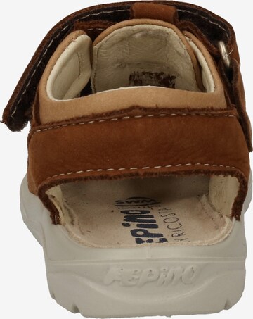 Pepino Sandals & Slippers in Brown