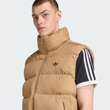 Gilet ADIDAS ORIGINALS en marron