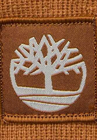 TIMBERLAND Kape | rjava barva