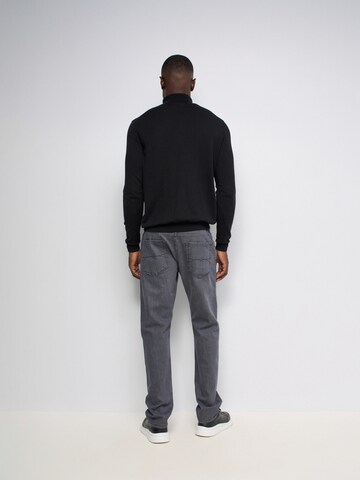Salsa Jeans Regular Jeans in Grijs
