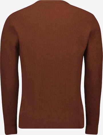 No Excess Sweater in Brown