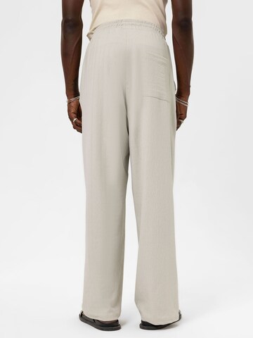 Loosefit Pantaloni 'Golden Alexander' di VAMOS CLO in grigio