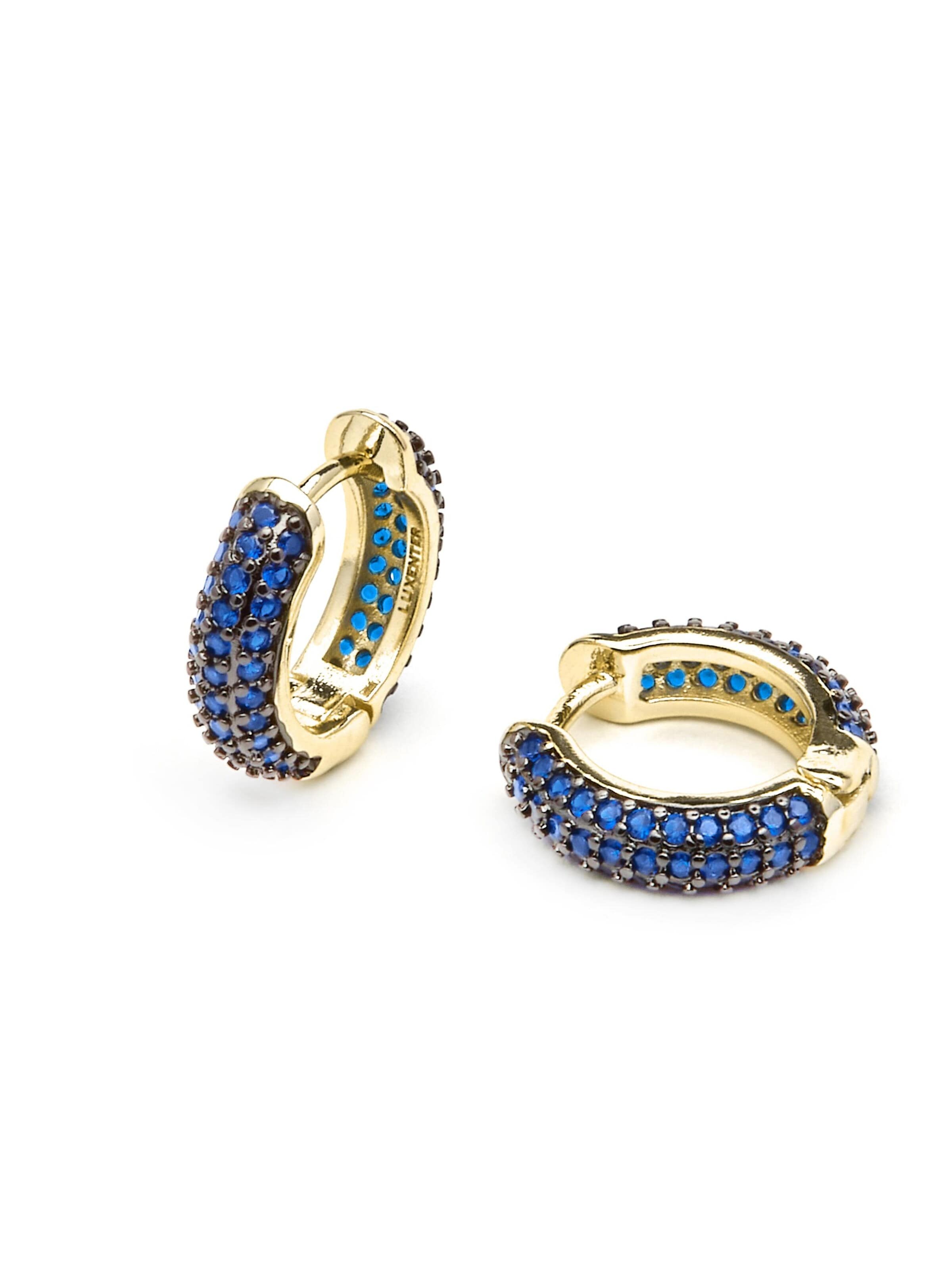 Luxenter Oorbellen 'Lesrat' in Blauw: voorkant