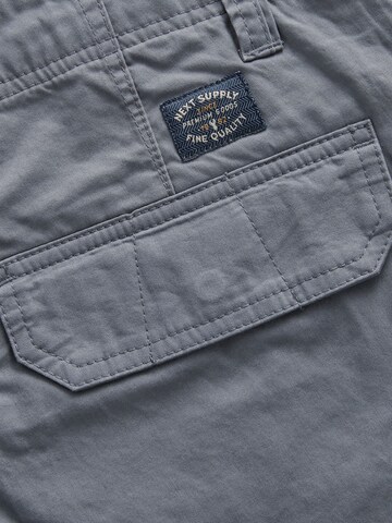 regular Pantaloni cargo di Next in grigio