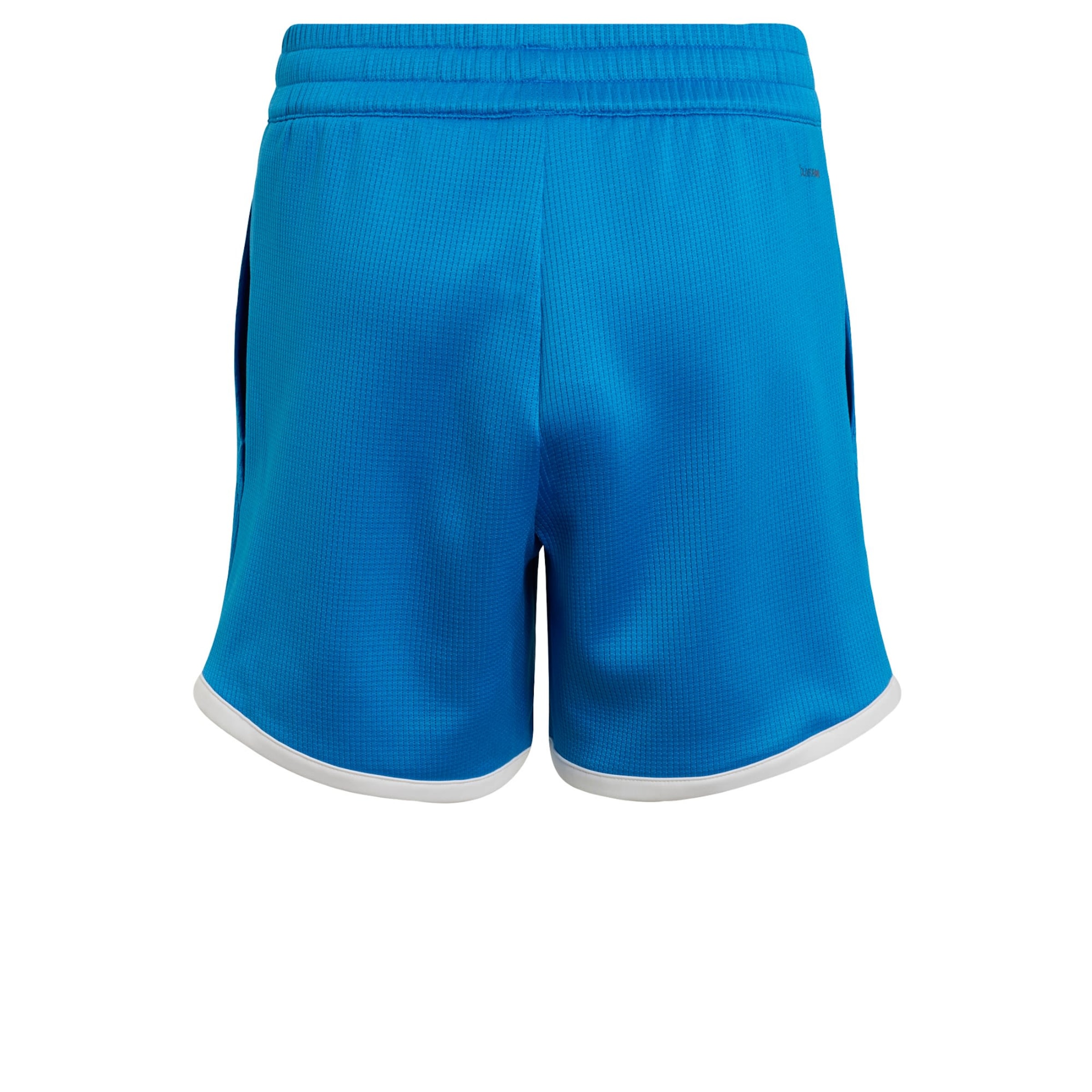 regular Pantaloni sportivi 'Classics' di ADIDAS PERFORMANCE in blu