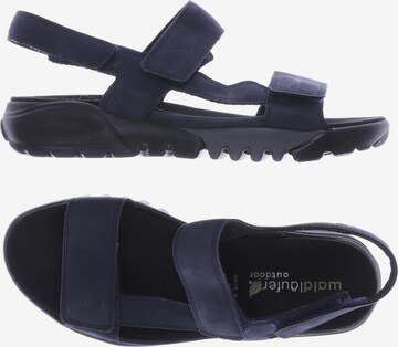 WALDLÄUFER Sandals & High-Heeled Sandals in 37,5 in Blue: front
