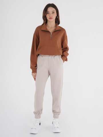 Sweat-shirt FRESHLIONS en marron