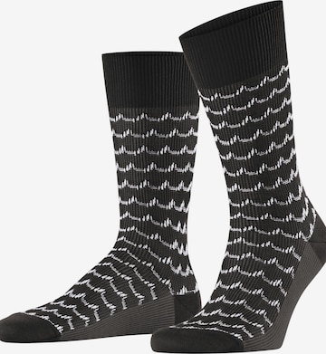 FALKE Socks 'Sea Rock' in Black: front