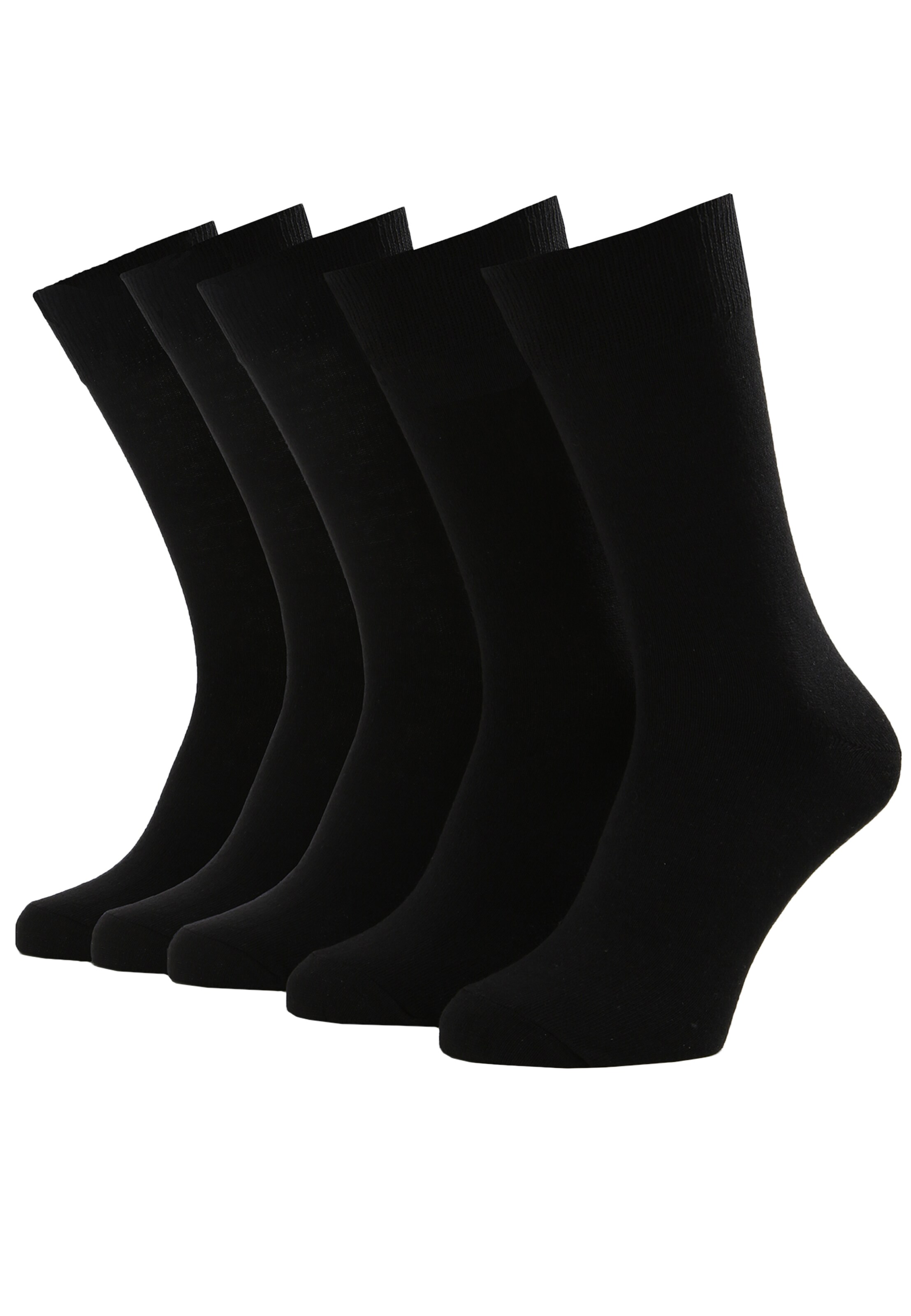 Albert Schäfer Socks in Black: front