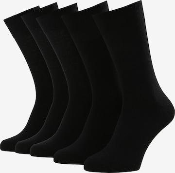 Albert Schäfer Socks in Black: front