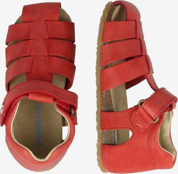 Chaussures ouvertes 'Alby' Falcotto en rouge