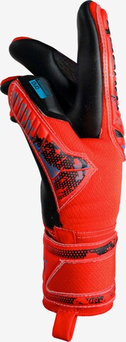 REUSCH Athletic Gloves 'Attrakt Duo' in Red