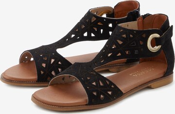 LASCANA T-Bar Sandals in Black