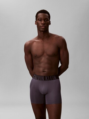 Regular Boxers 'Intense Powe' Calvin Klein Underwear en mélange de couleurs : devant