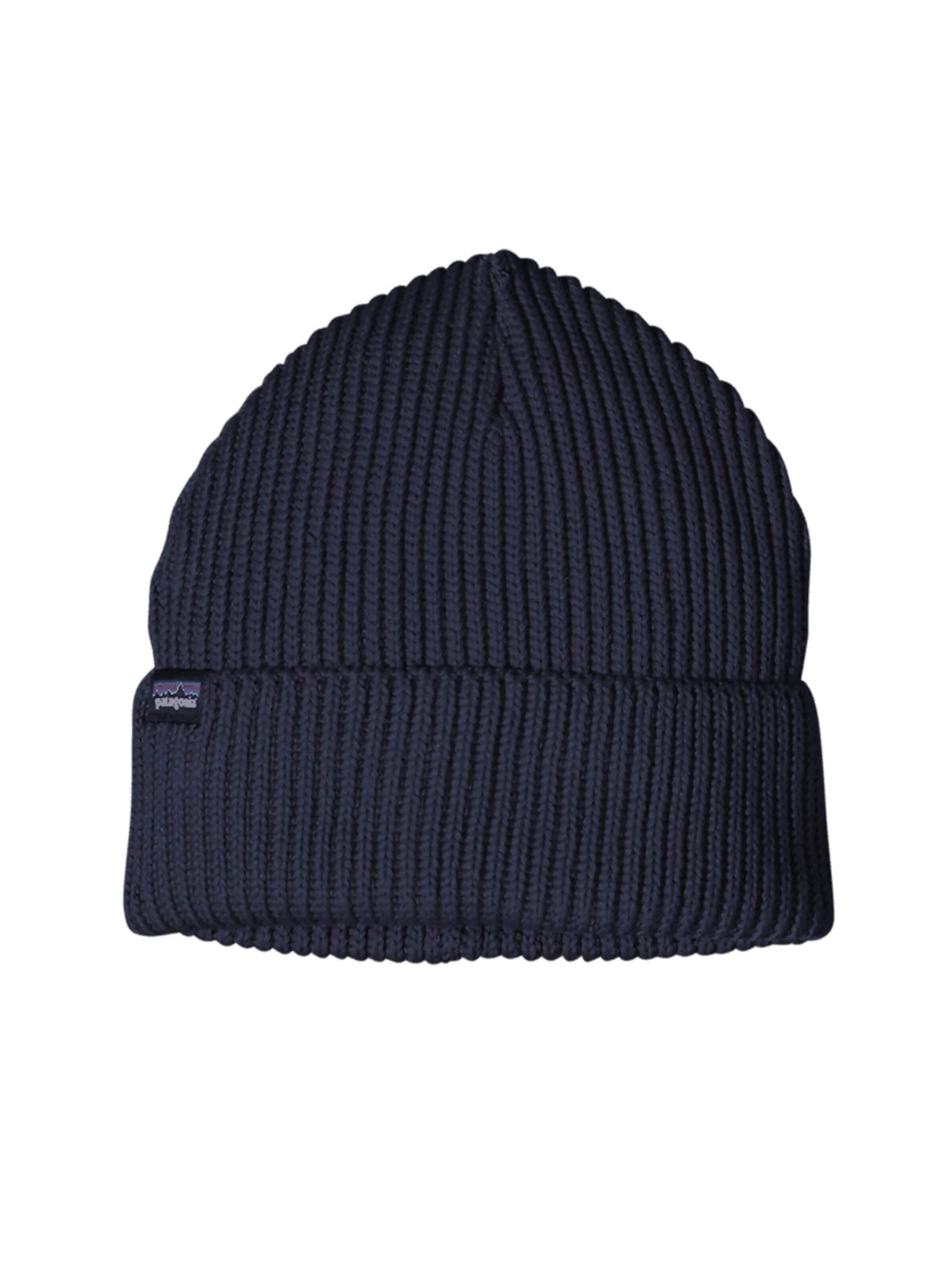 PATAGONIA Beanie in Blue: front
