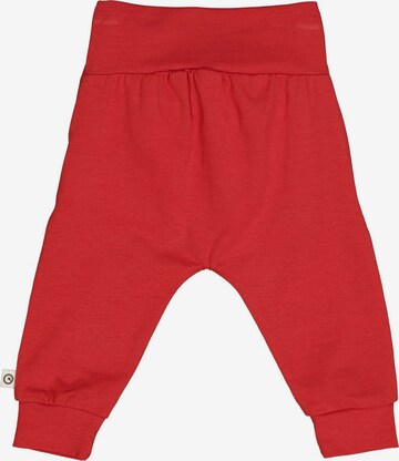 regular Pantaloni di Müsli by GREEN COTTON in rosso