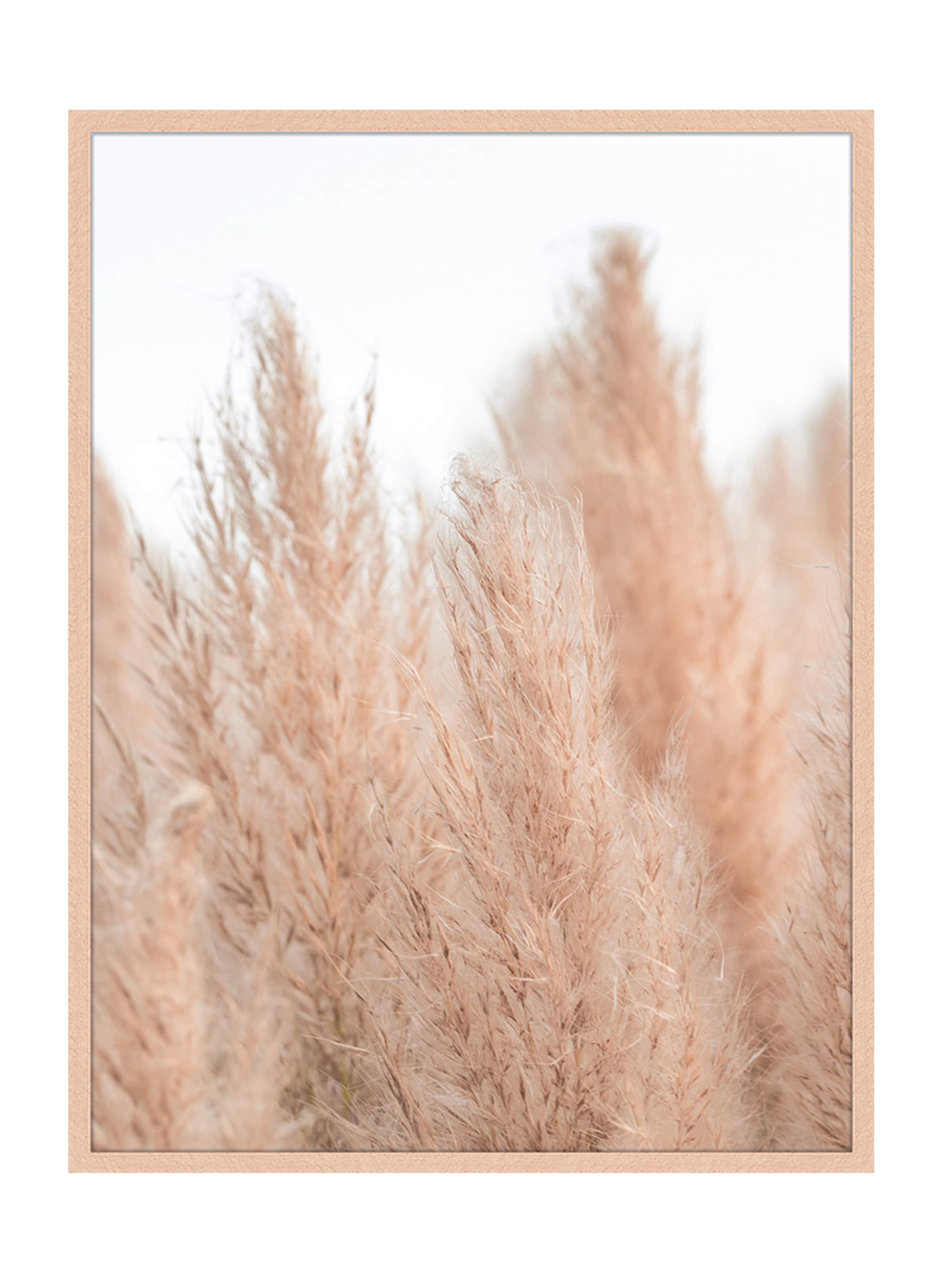 Liv Corday Image 'Pampas Grass in Neutral Colours' in Brown: front