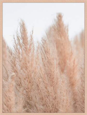 Liv Corday Image 'Pampas Grass in Neutral Colours' in Brown: front