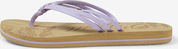 Tongs 'Ditsy' O'NEILL en violet : devant