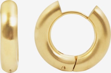 Akzent Earrings 'Salita, langlebig' in Gold: front