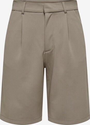 JDY Pleat-Front Pants in Grey: front