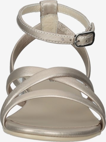 Nero Giardini Strap Sandals in Silver