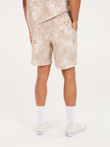 PROTEST Regular Hose 'PRTSPARK' in Braun