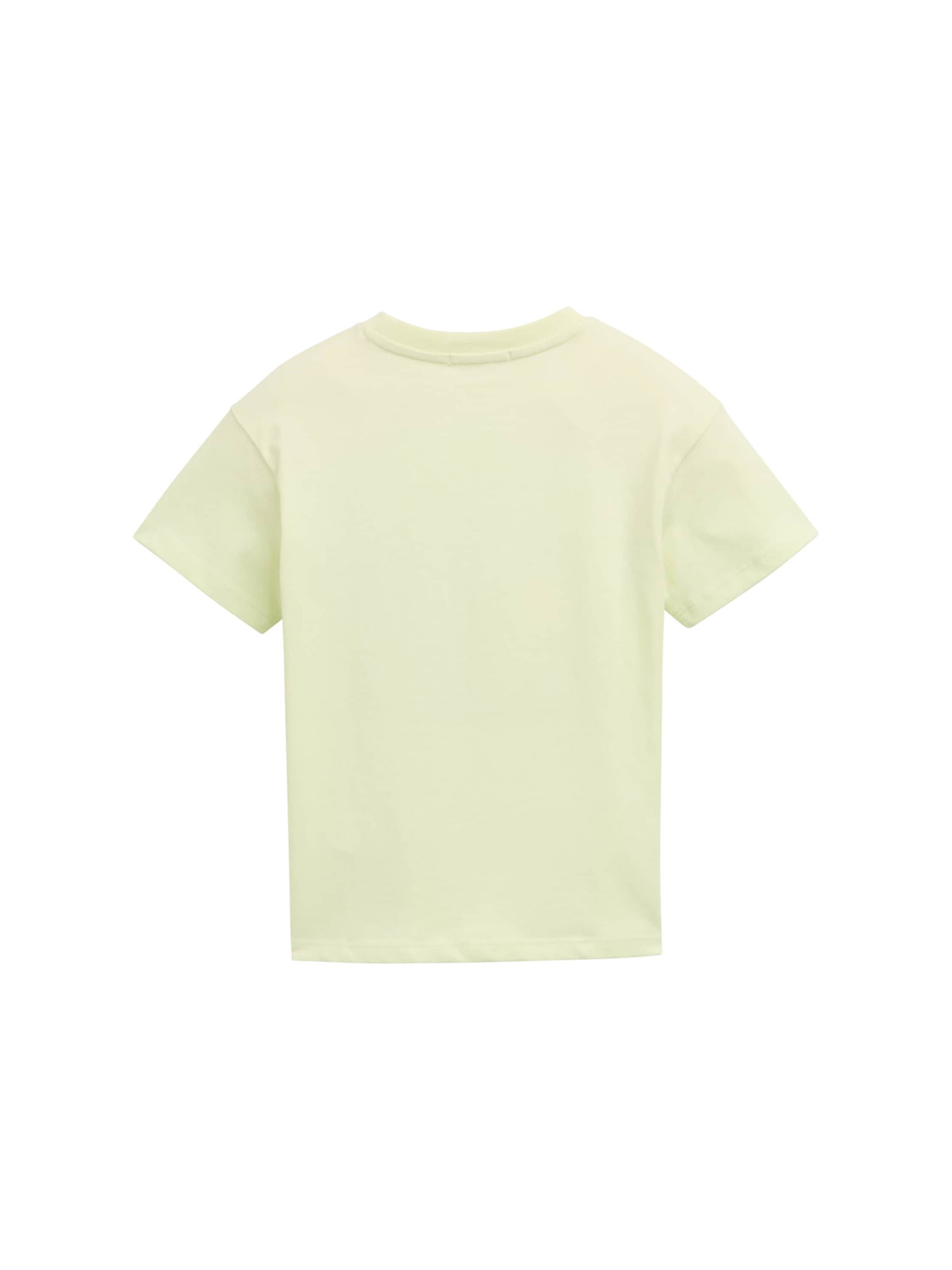 TOM TAILOR Μπλουζάκι σε πράσινο