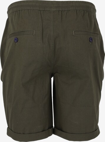 Cruz Regular Shorts 'Gilchrest' in Grün