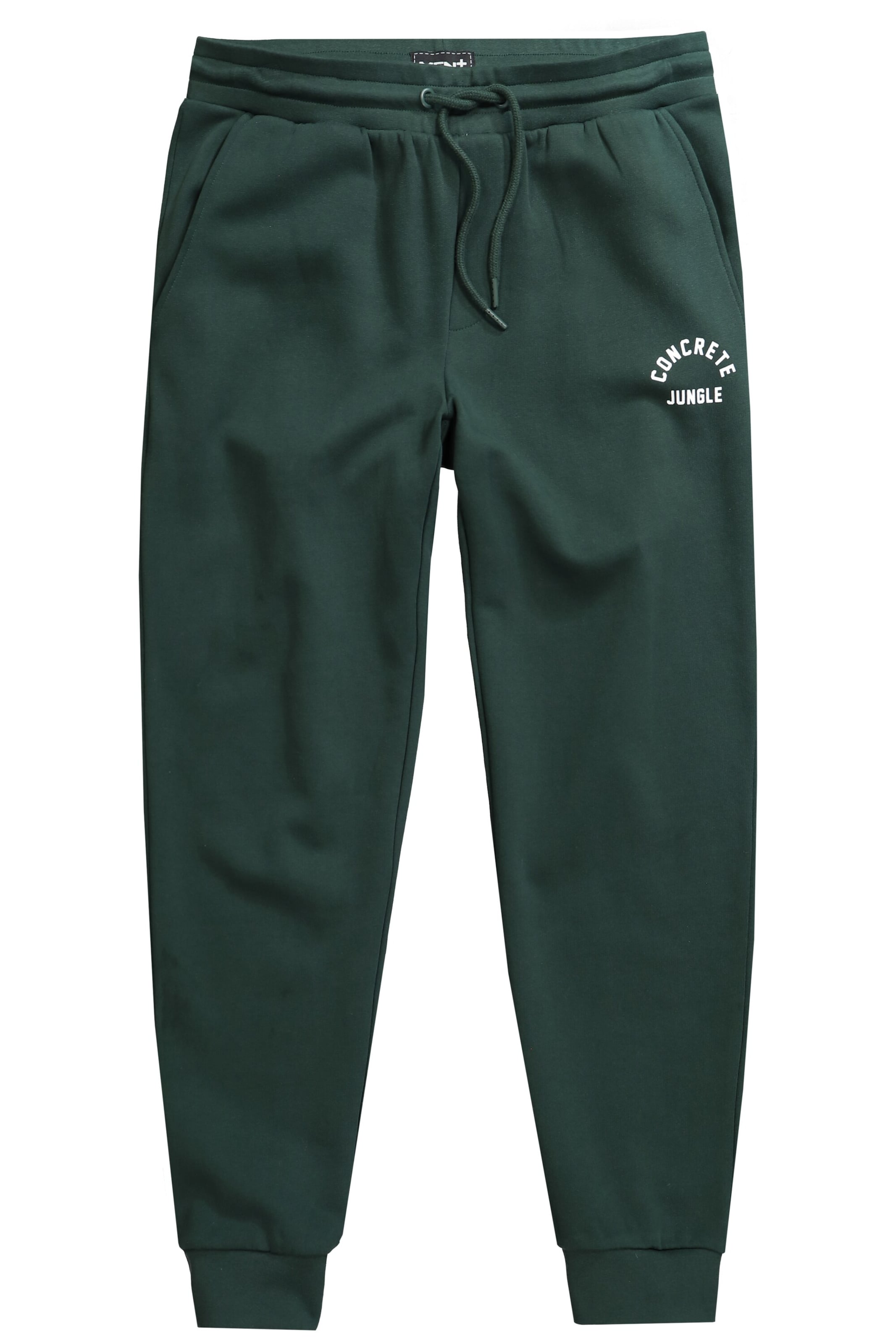 Men Plus Tapered Trousers in Green: front