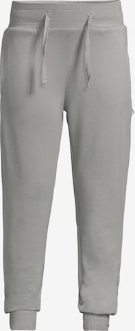 New Life Pants in Grey: front