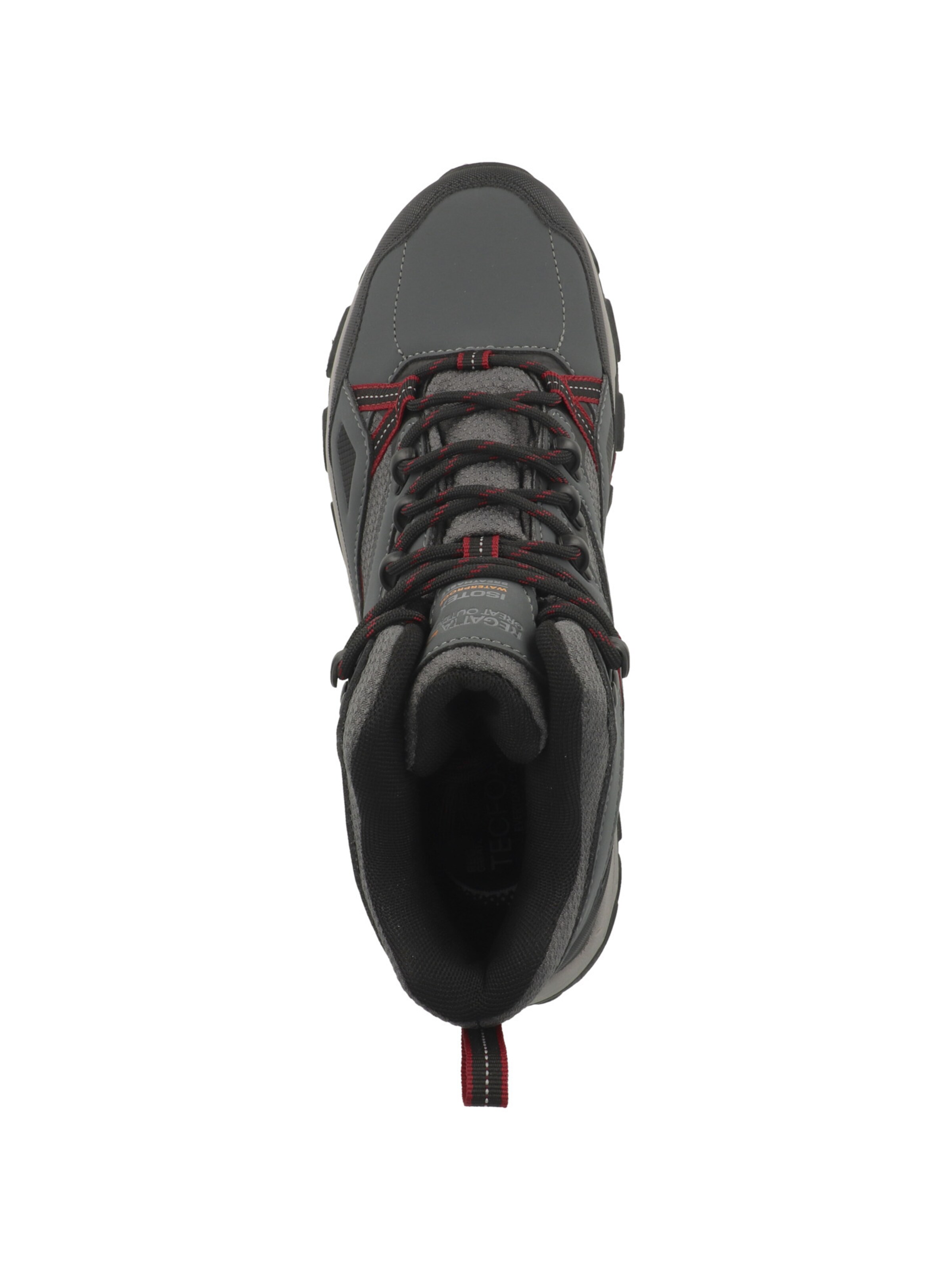 Scarpa bassa 'Holcombe III' di REGATTA in grigio