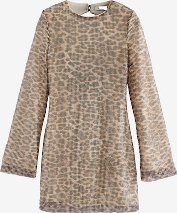 Next Платье в Коричневый: спереди