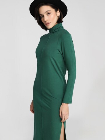 Madnezz House Dress in Green